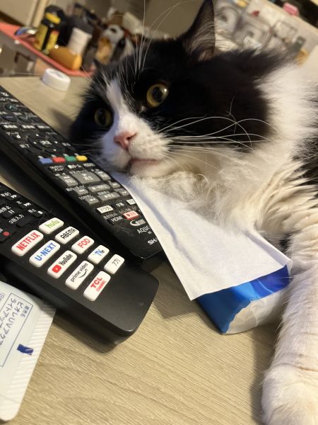 うとうとしちゃうな…