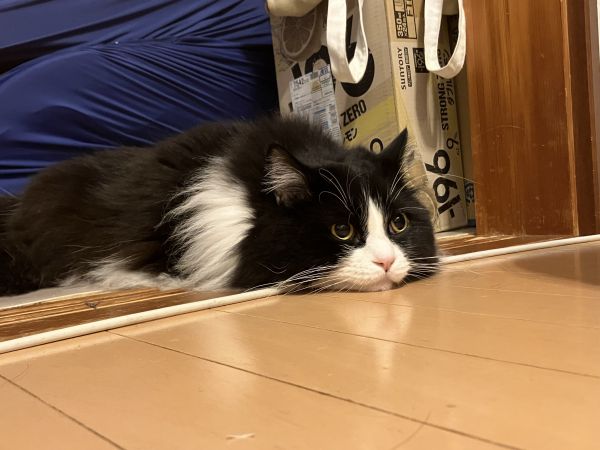 おれ、はらぺこなんだ