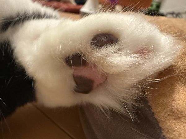 よっ、おきたぜ！