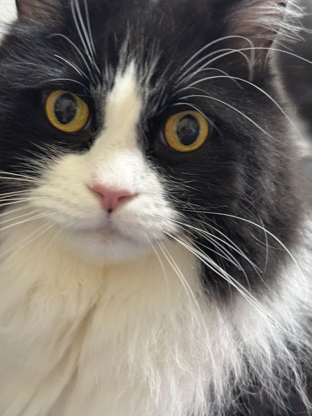 うとうとしちゃうな…