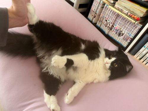蹴り！