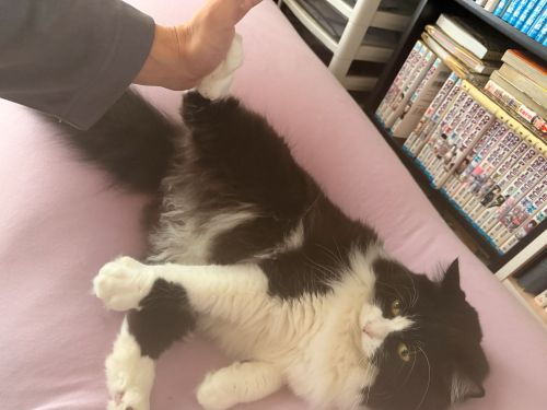 おれ、はらぺこなんだ
