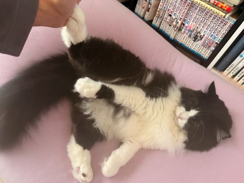 おれ、かっこいいだろ？