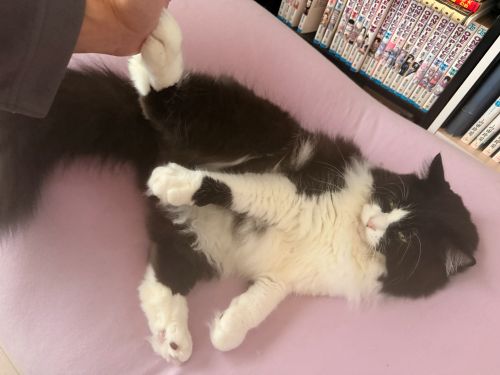 ねむくなってきたぜ…