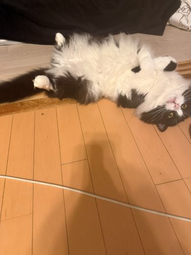おやつ、まだかよ〜
