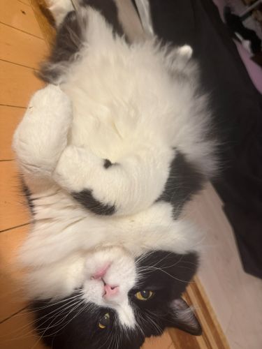 おれ、ごきげんだぜ♪