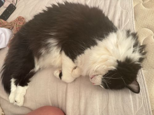 うとうとしちゃうな…