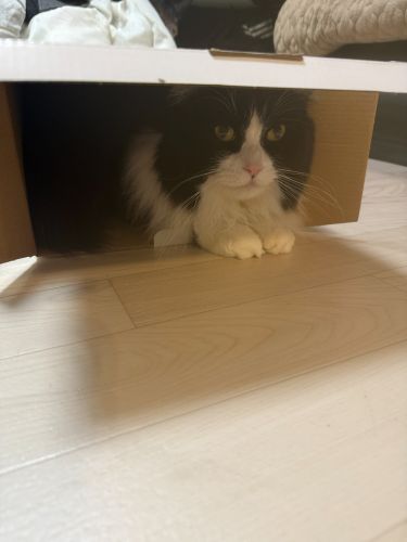 げんきありあまってんだ！