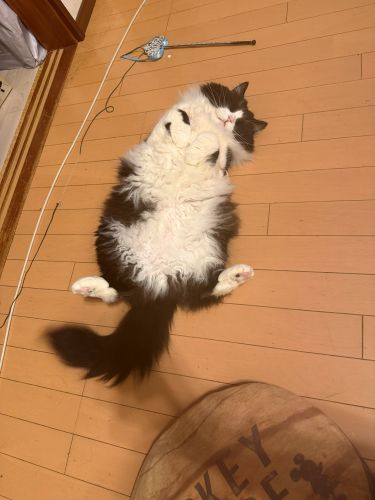 よっ、おきたぜ！
