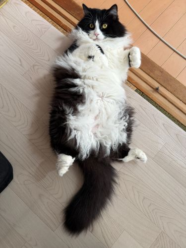 ちょっとおこってるんだぞ